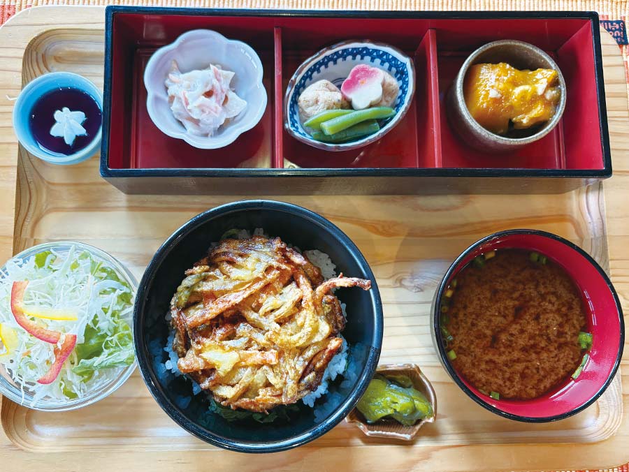 限定ふくろうランチ（選べるミニ丼）ミニかき揚げ丼